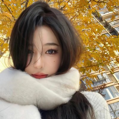 战翼的希格德莉法